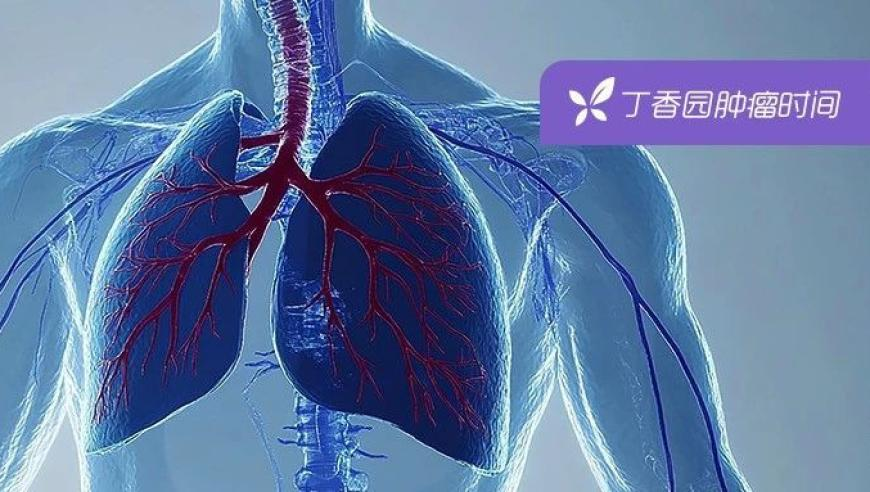2025年网络消费实现开门红,新澳门六叔公资料网站,作答解释落实的民间信仰_体验版V9.82