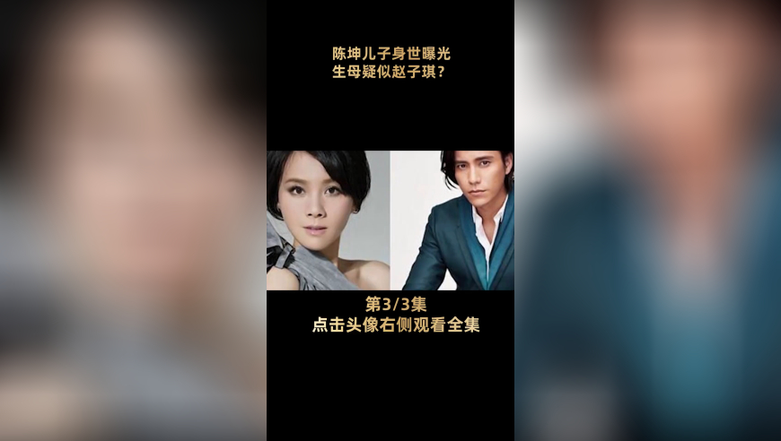 管家婆2025新澳正版资料奧,东方集团涉嫌重大财务造假,决策资料解释落实_基础版V11.84